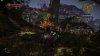 witcher2 2011-07-25 23-07-37-34.jpg